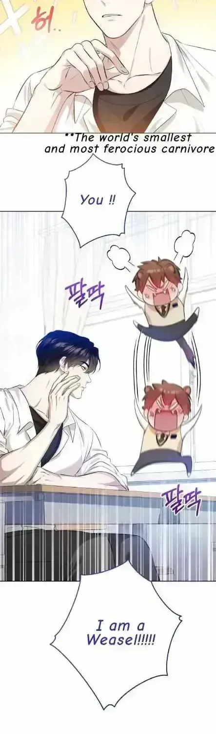 Read Wild Beast Warning chapter 1.7 image 20 on Lezhin