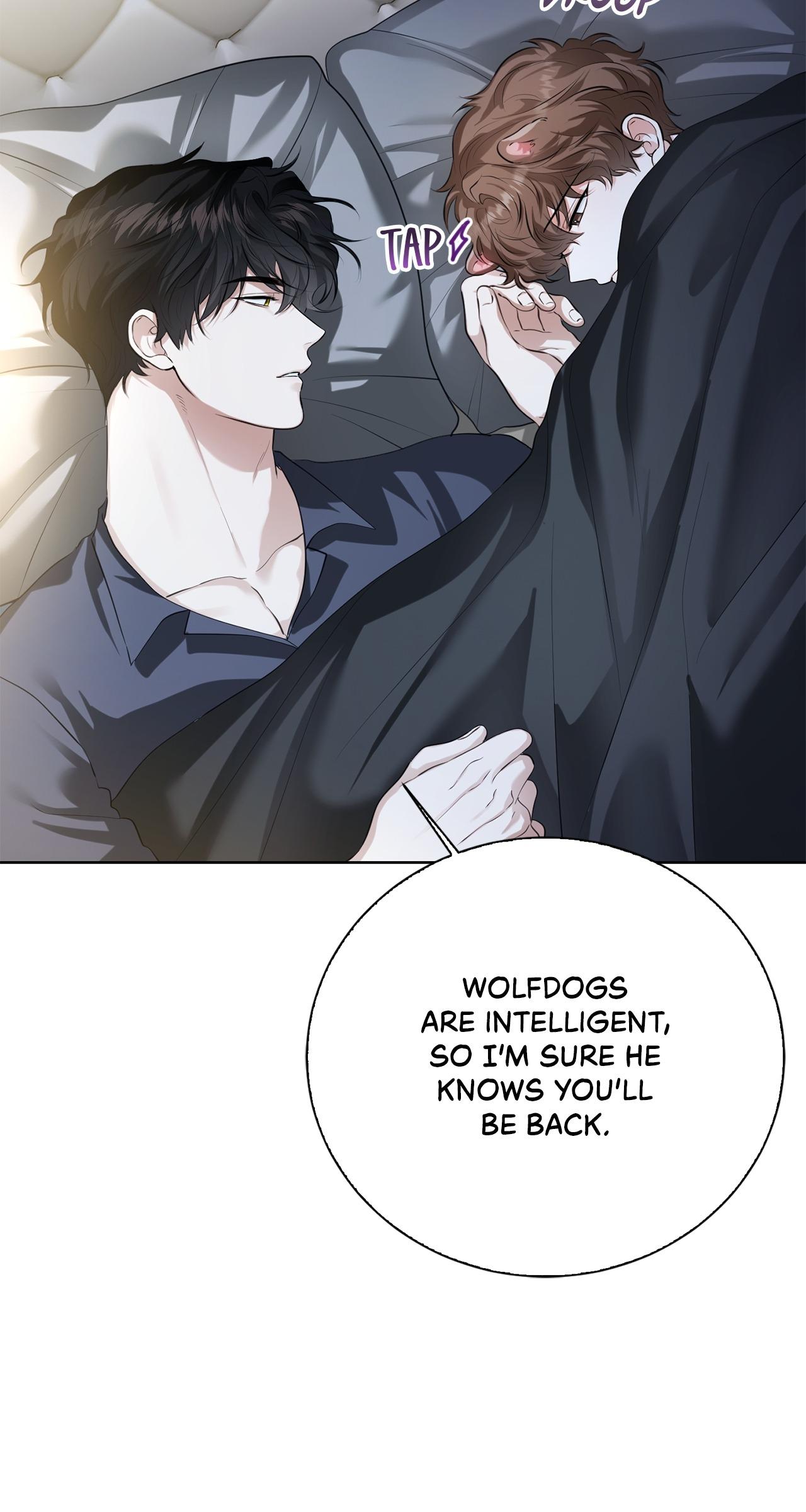 Read Wild Beast Warning chapter 16.1 image 12 on Lezhin