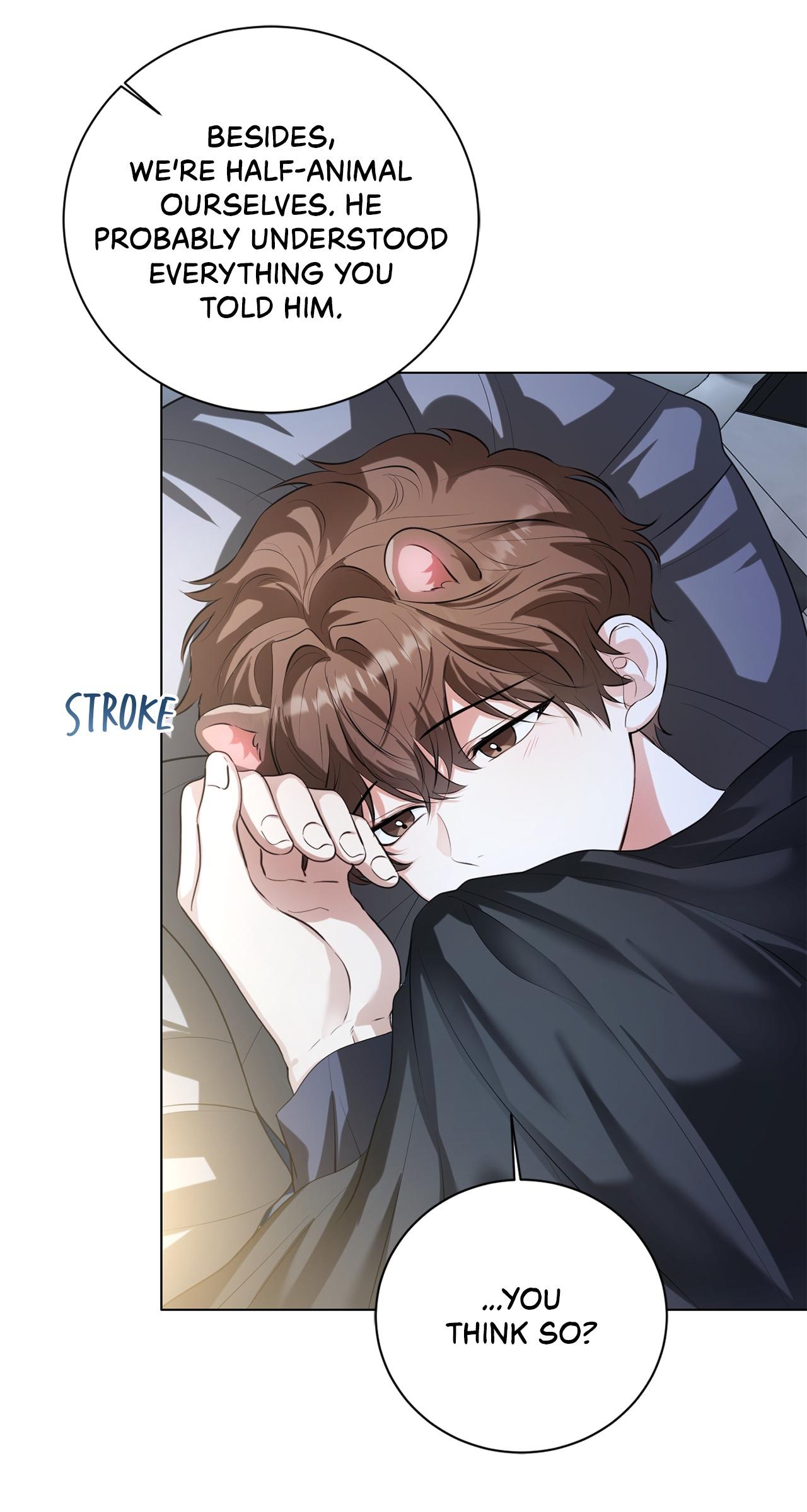 Read Wild Beast Warning chapter 16.1 image 13 on Lezhin