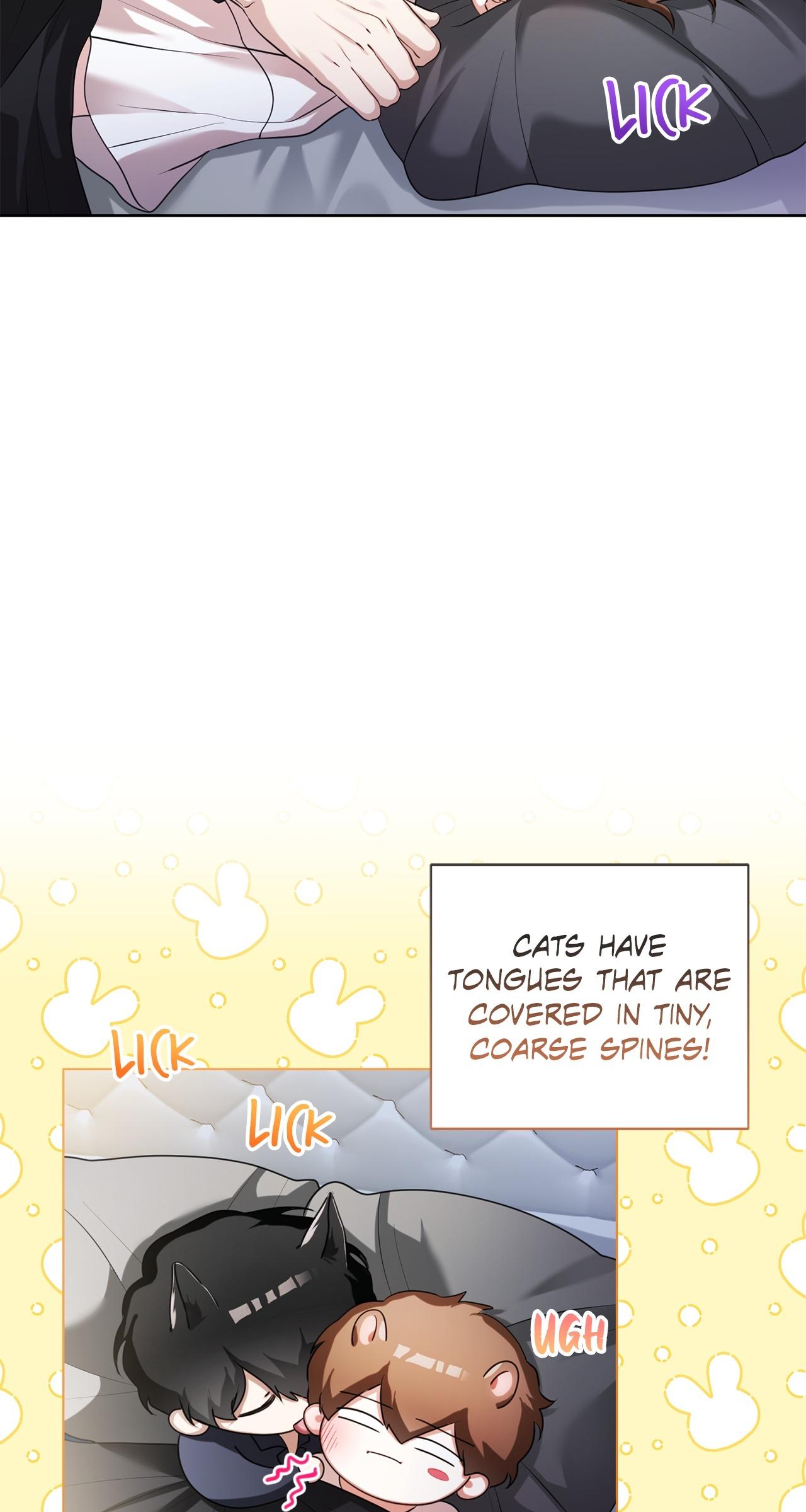 Read Wild Beast Warning chapter 16.1 image 61 on Lezhin