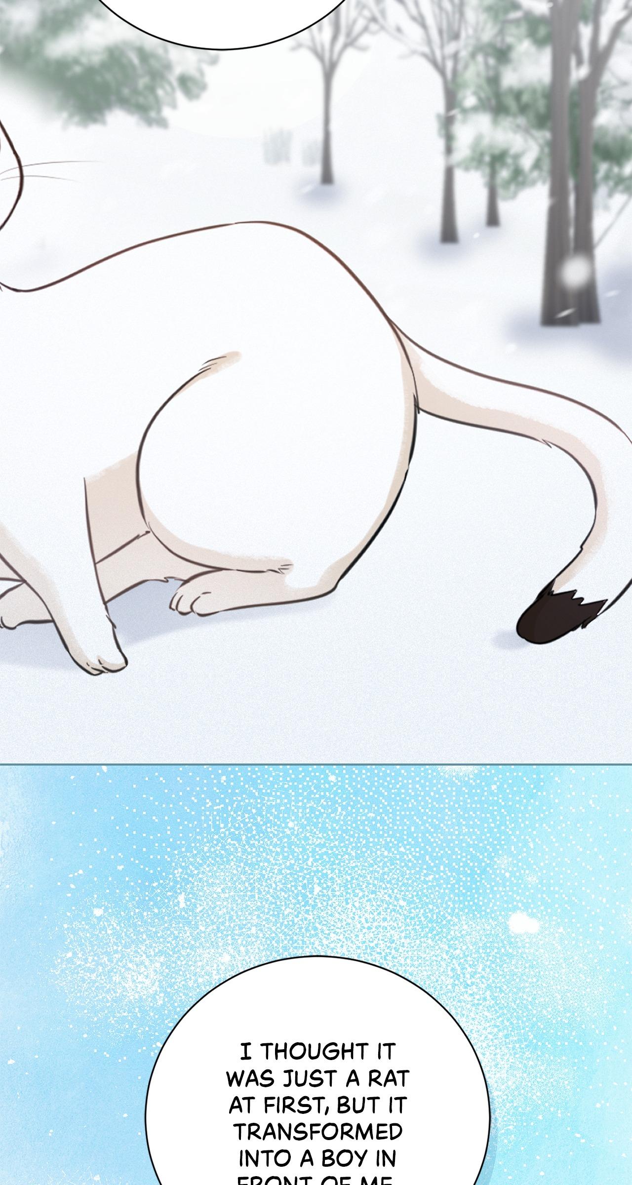 Read Wild Beast Warning chapter 16.1 image 81 on Lezhin