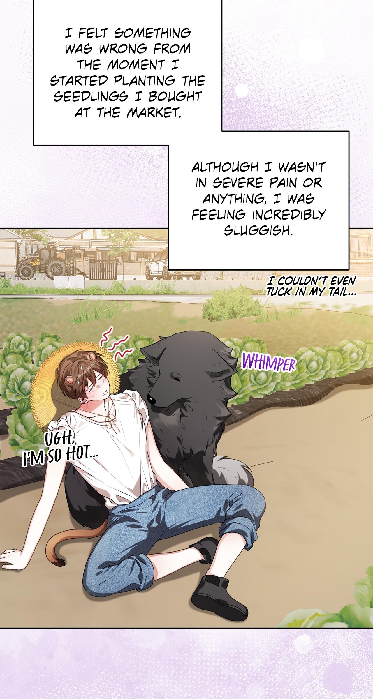 Read Wild Beast Warning chapter 19.1 image 25 on Lezhin