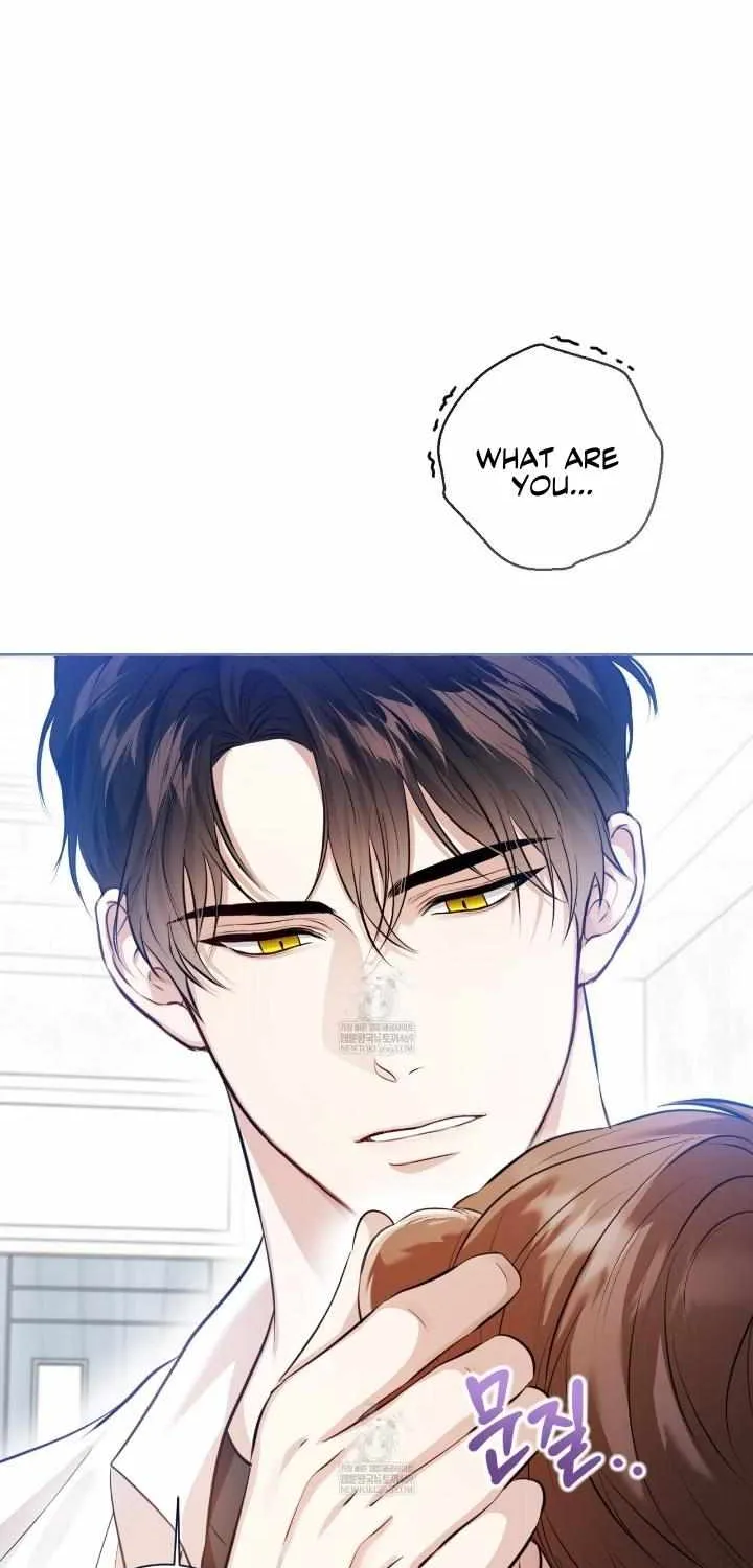 Read Wild Beast Warning chapter 2 image 3 on Lezhin