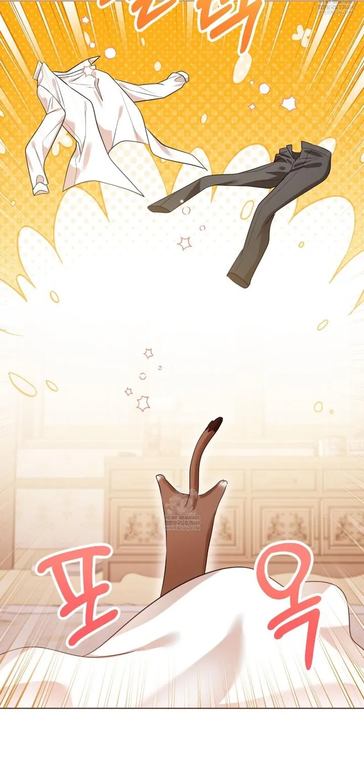 Read Wild Beast Warning chapter 2 image 39 on Lezhin