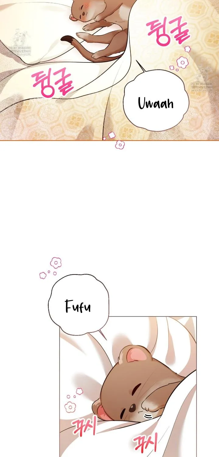 Read Wild Beast Warning chapter 2 image 42 on Lezhin