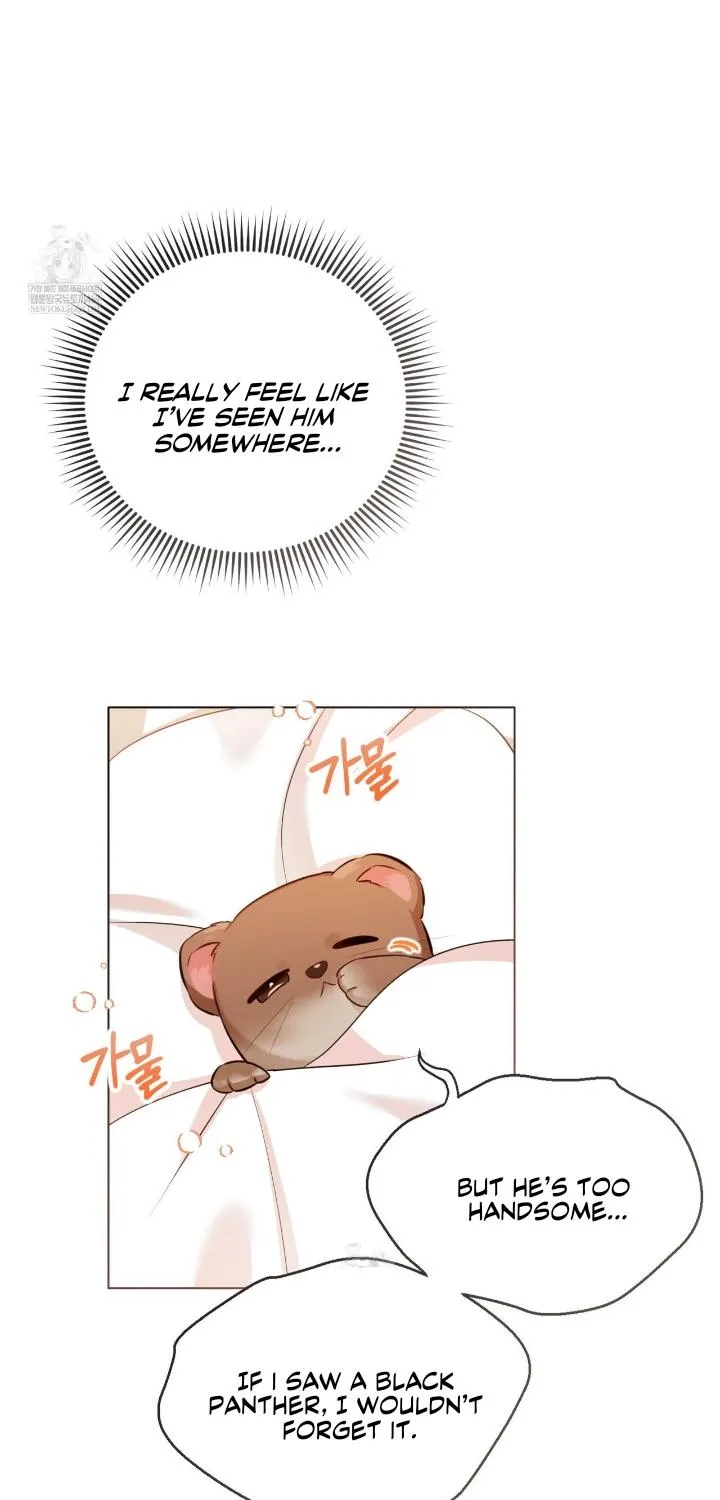 Read Wild Beast Warning chapter 2 image 47 on Lezhin