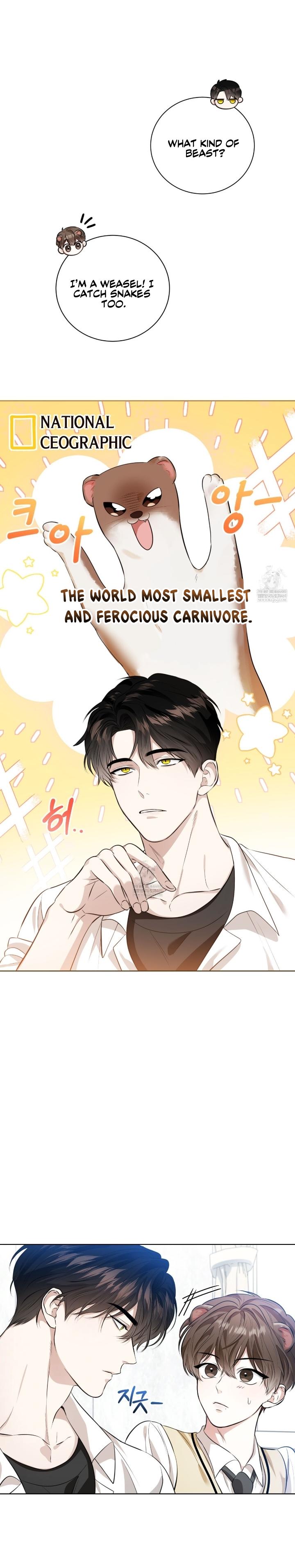 Read Wild Beast Warning chapter 29.3 image 22 on Lezhin