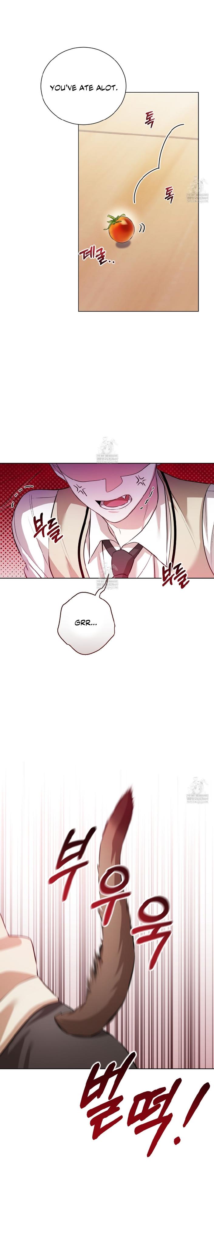 Read Wild Beast Warning chapter 29.3 image 24 on Lezhin