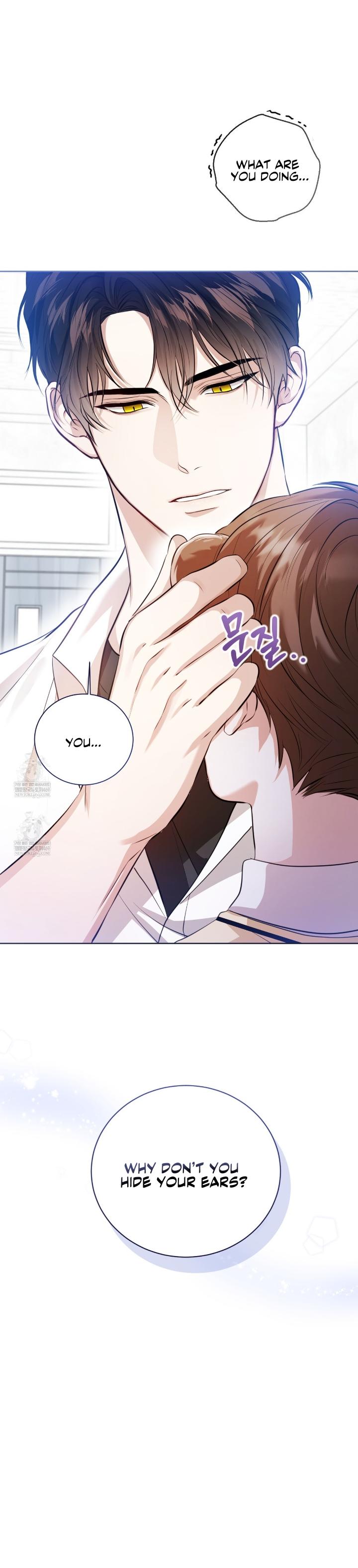 Read Wild Beast Warning chapter 29.3 image 35 on Lezhin