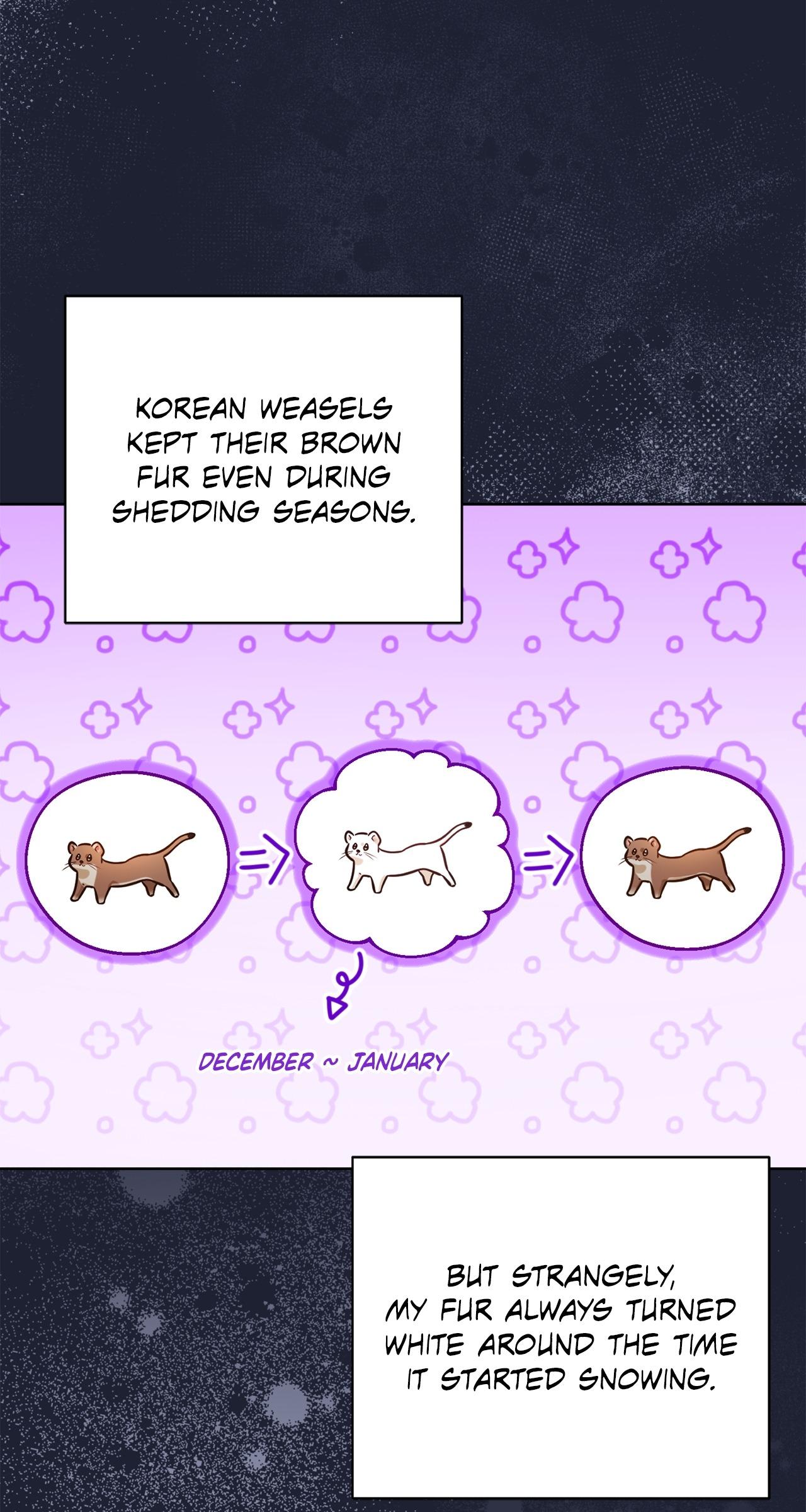 Read Wild Beast Warning chapter 4.1 image 60 on Lezhin