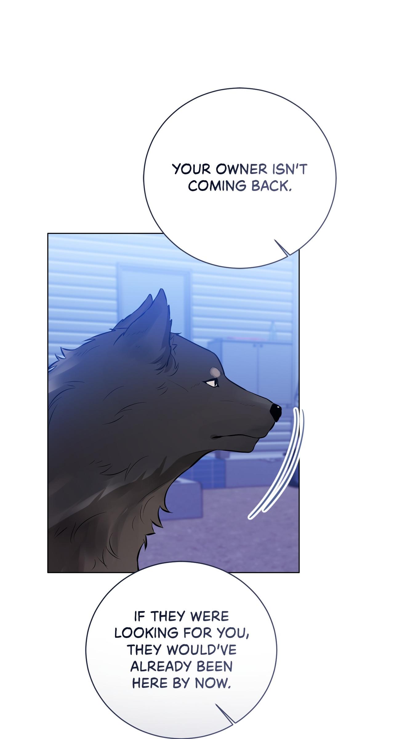 Read Wild Beast Warning chapter 5.1 image 44 on Lezhin