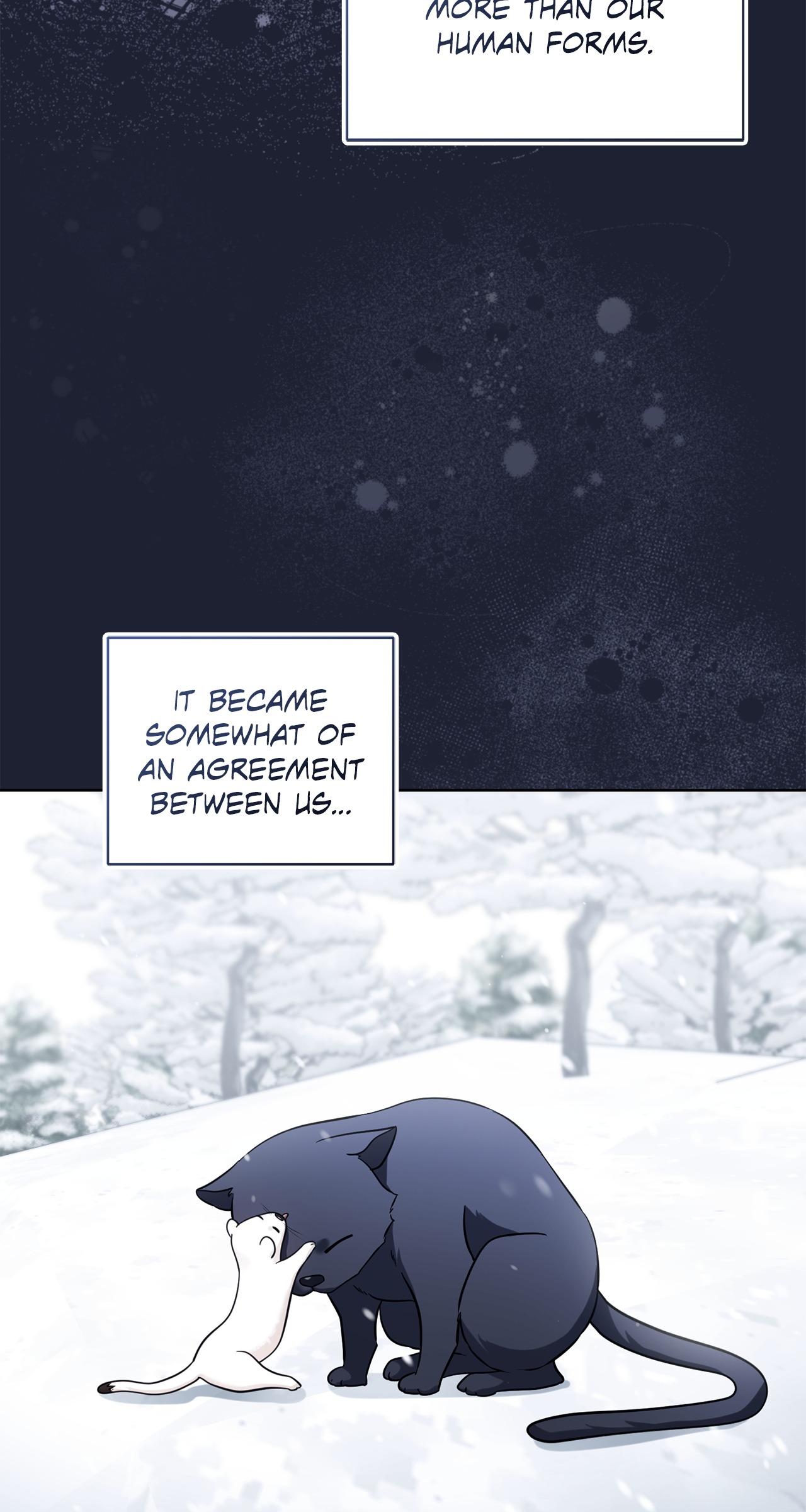 Read Wild Beast Warning chapter 5.1 image 8 on Lezhin