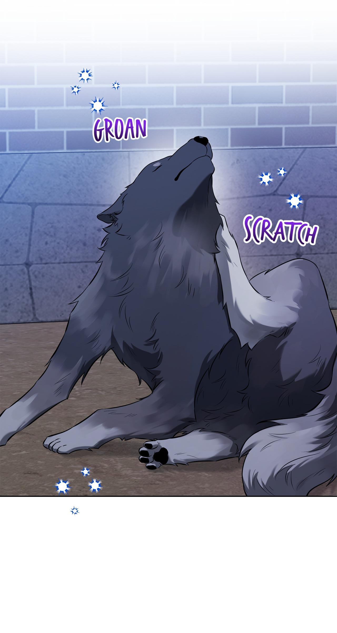 Read Wild Beast Warning chapter 8.1 image 10 on Lezhin