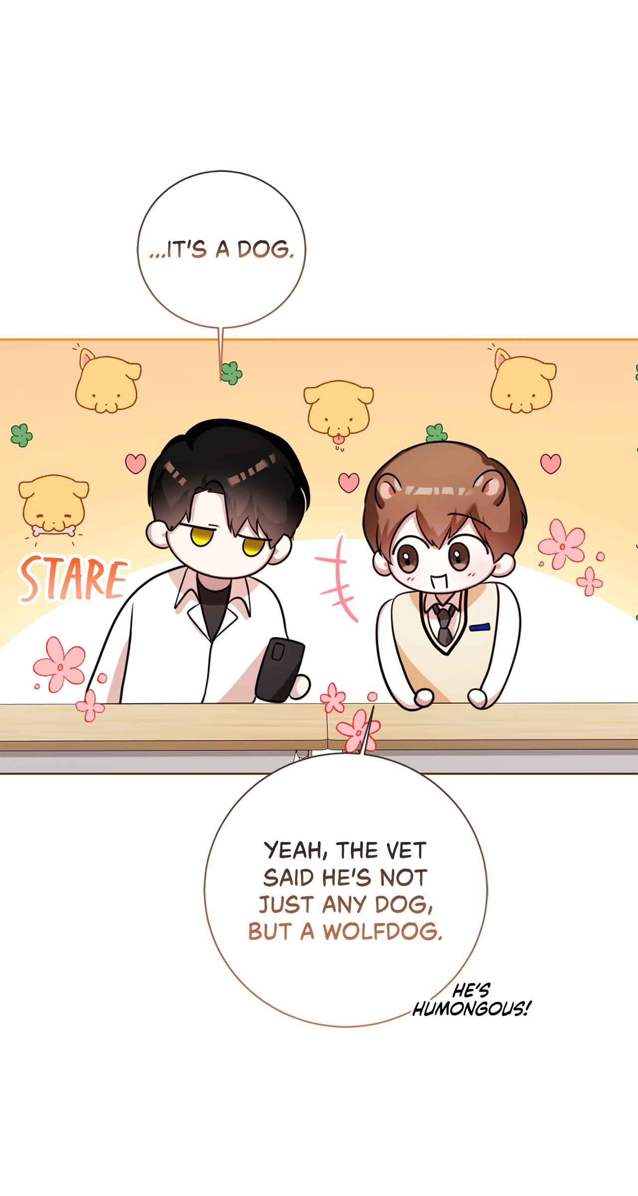 Read Wild Beast Warning chapter 8.1 image 74 on Lezhin