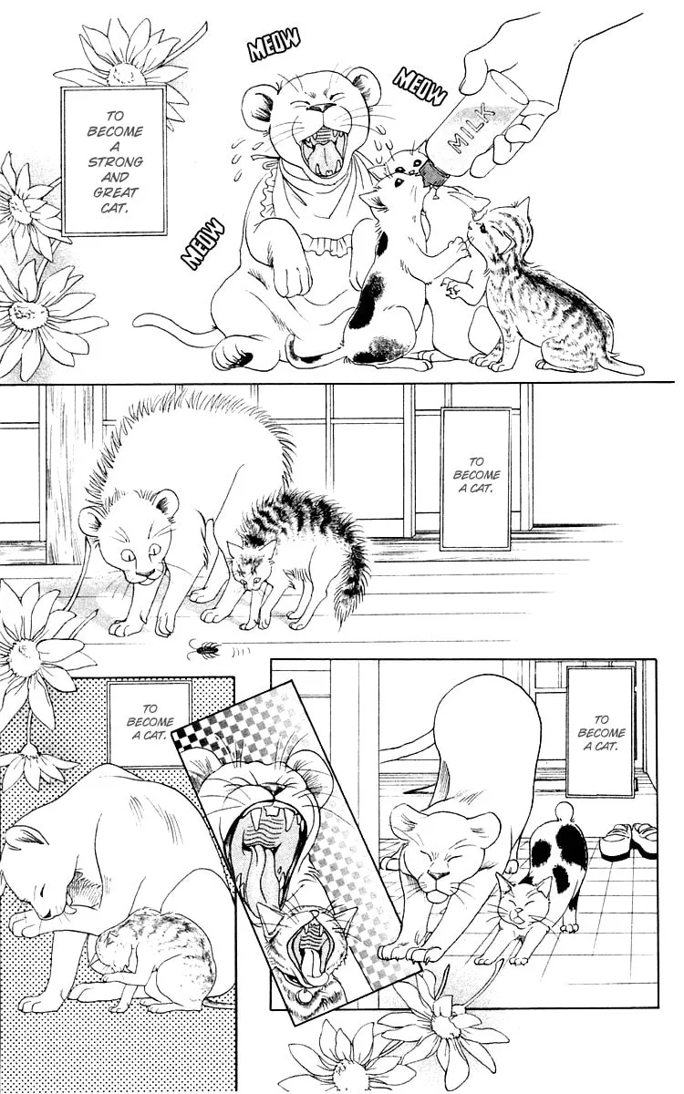 Read Wild Cats chapter 1 image 10 on Lezhin