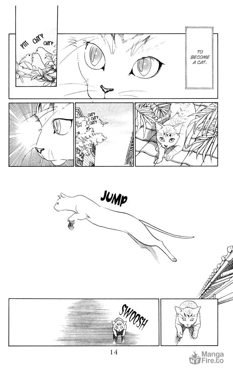 Read Wild Cats chapter 1 image 11 on Lezhin