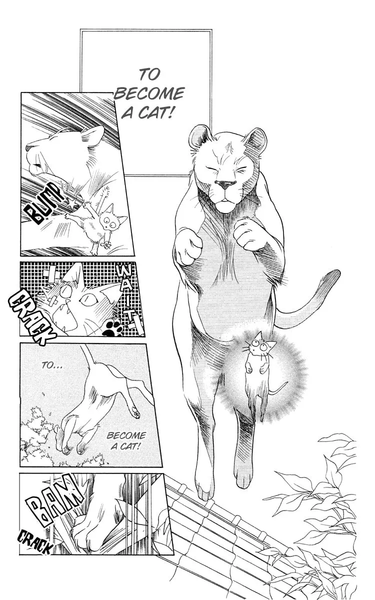 Read Wild Cats chapter 1 image 12 on Lezhin