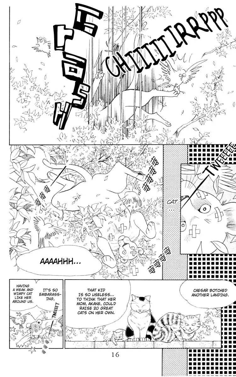 Read Wild Cats chapter 1 image 13 on Lezhin