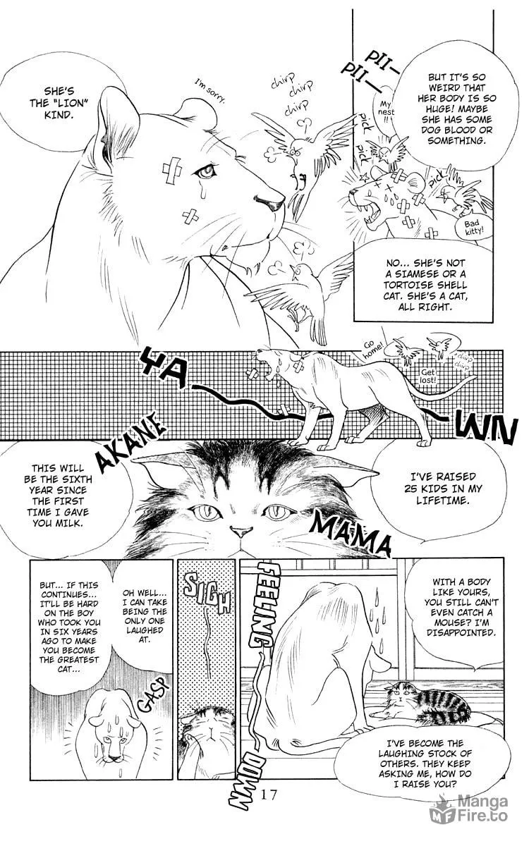 Read Wild Cats chapter 1 image 14 on Lezhin