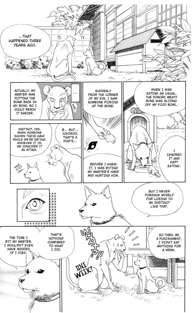 Read Wild Cats chapter 1 image 18 on Lezhin