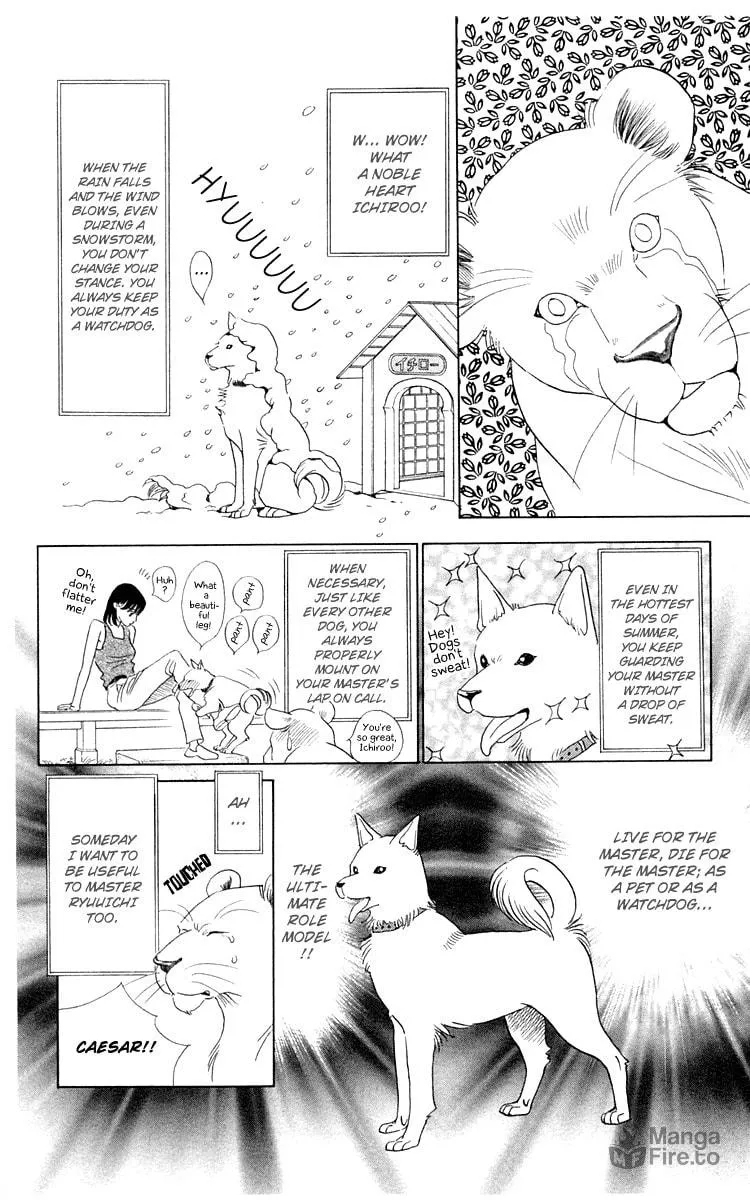 Read Wild Cats chapter 1 image 19 on Lezhin