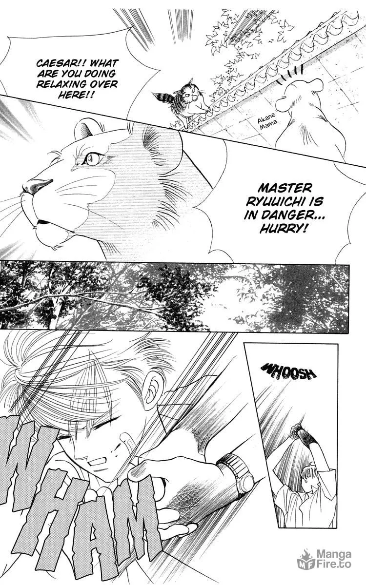 Read Wild Cats chapter 1 image 20 on Lezhin