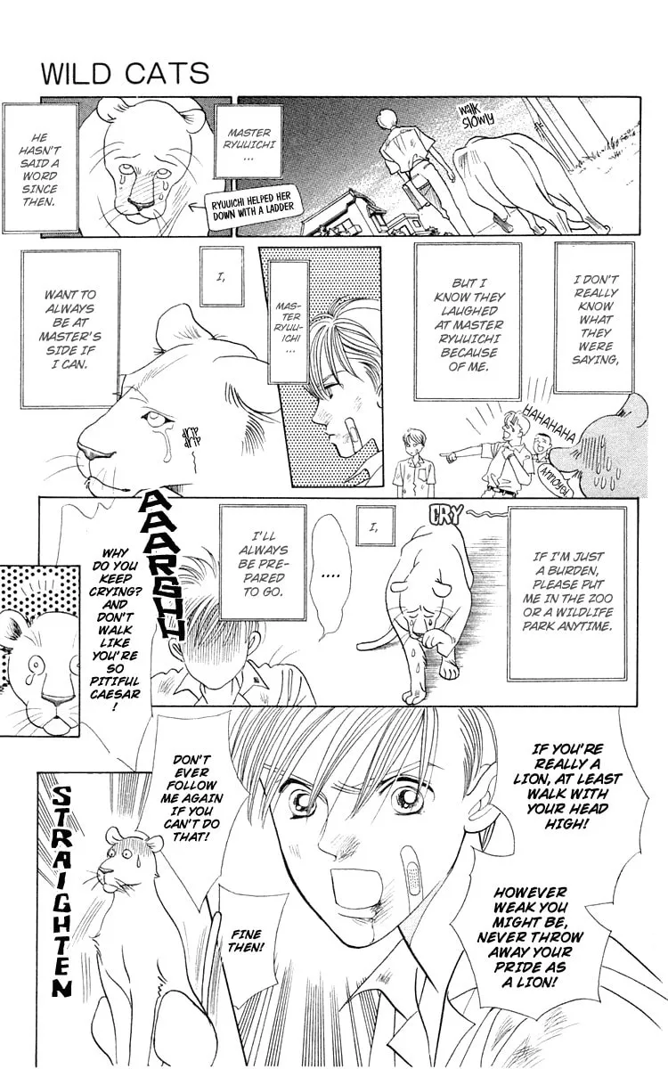 Read Wild Cats chapter 1 image 28 on Lezhin