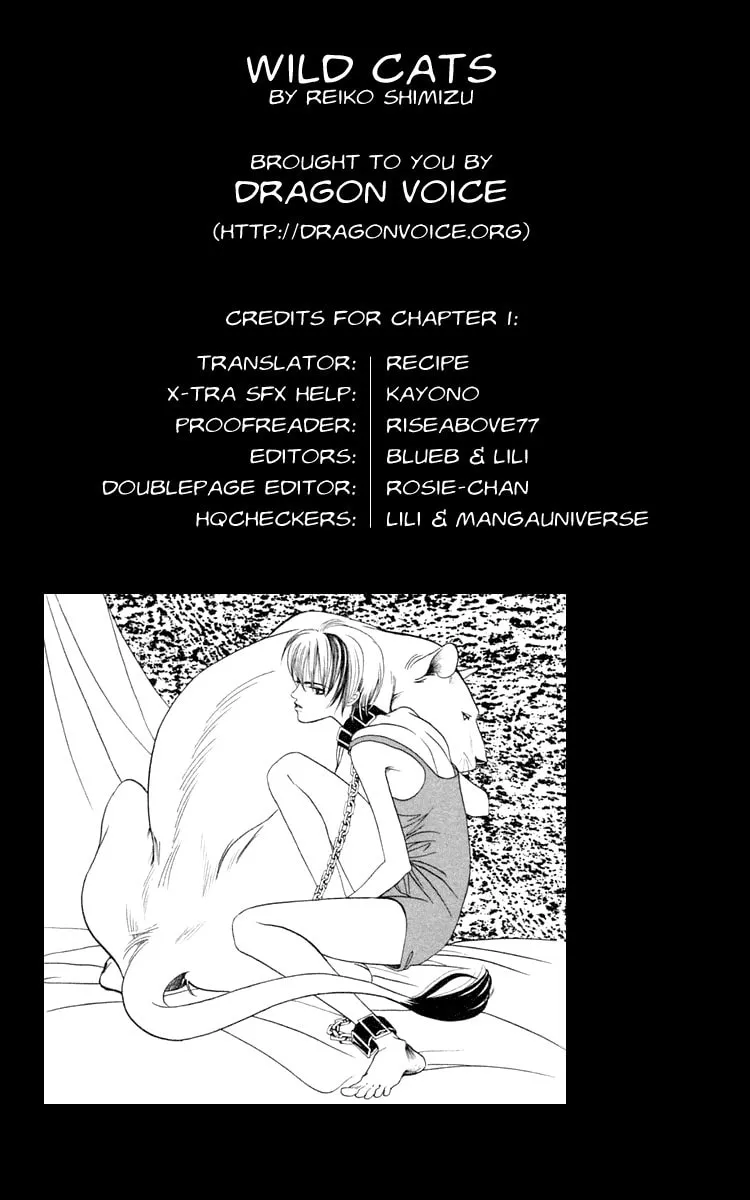 Read Wild Cats chapter 1 image 3 on Lezhin