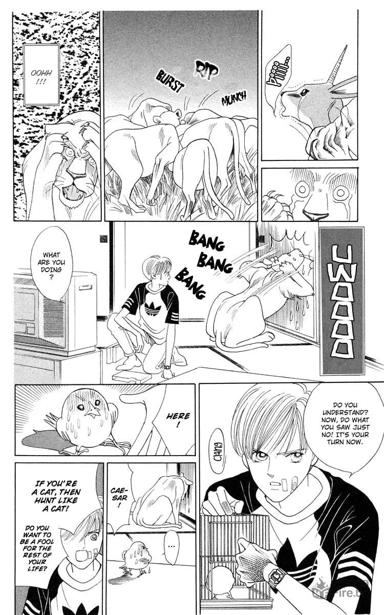 Read Wild Cats chapter 1 image 39 on Lezhin