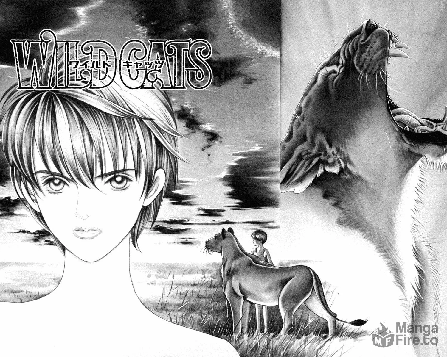 Read Wild Cats chapter 1 image 4 on Lezhin
