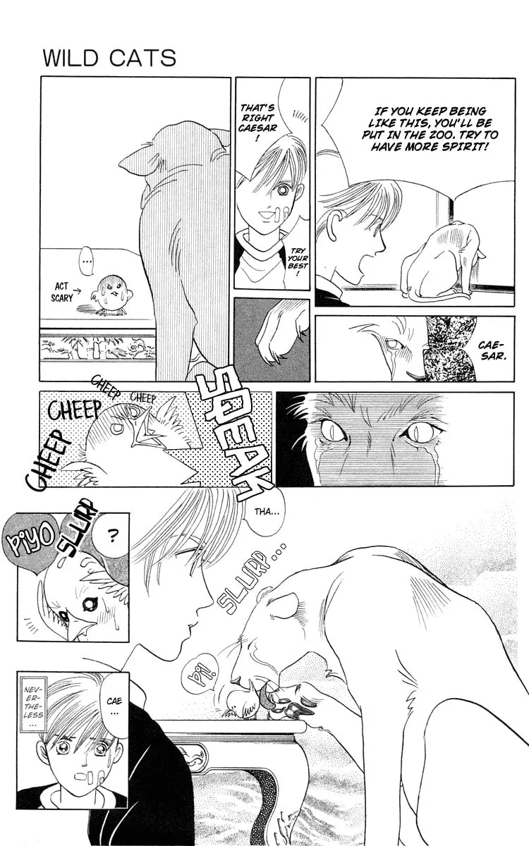 Read Wild Cats chapter 1 image 40 on Lezhin