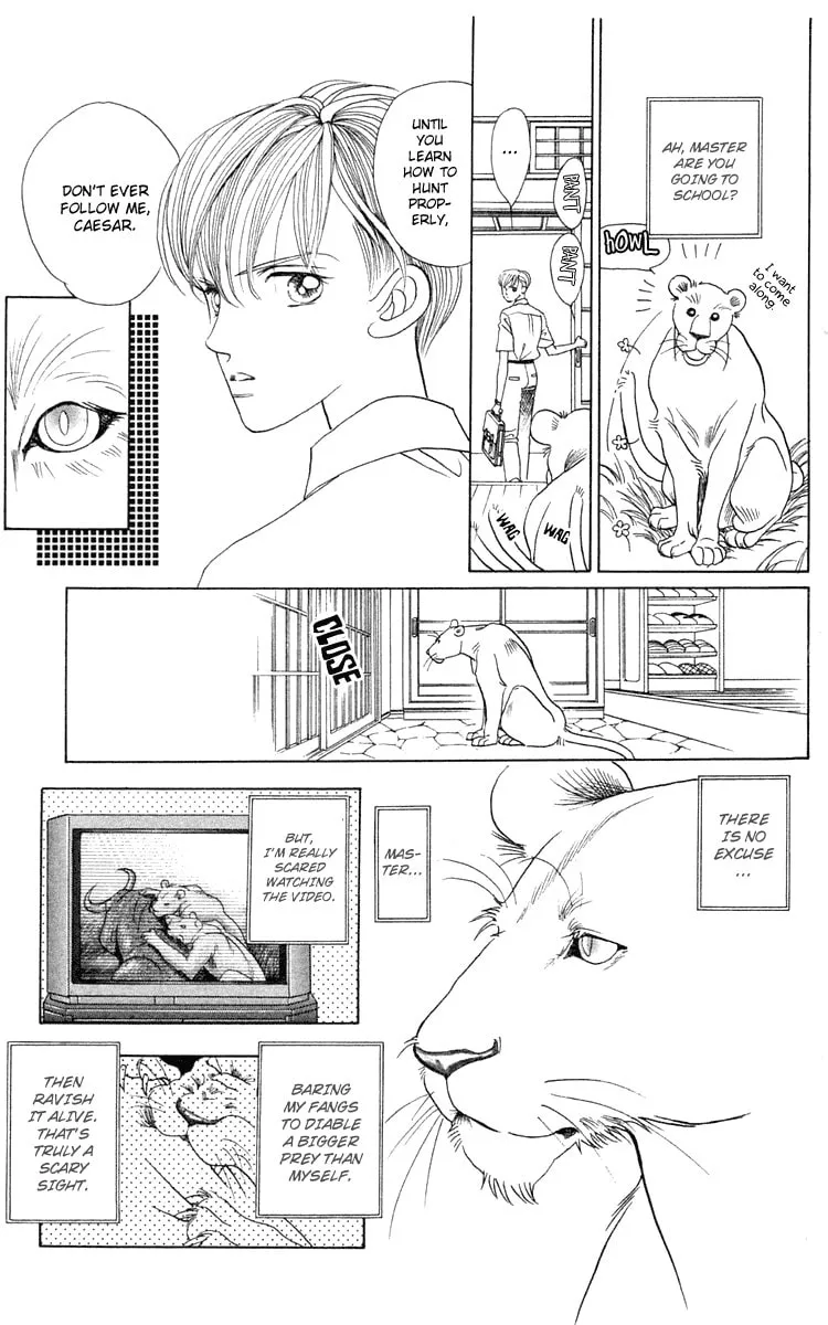 Read Wild Cats chapter 1 image 42 on Lezhin