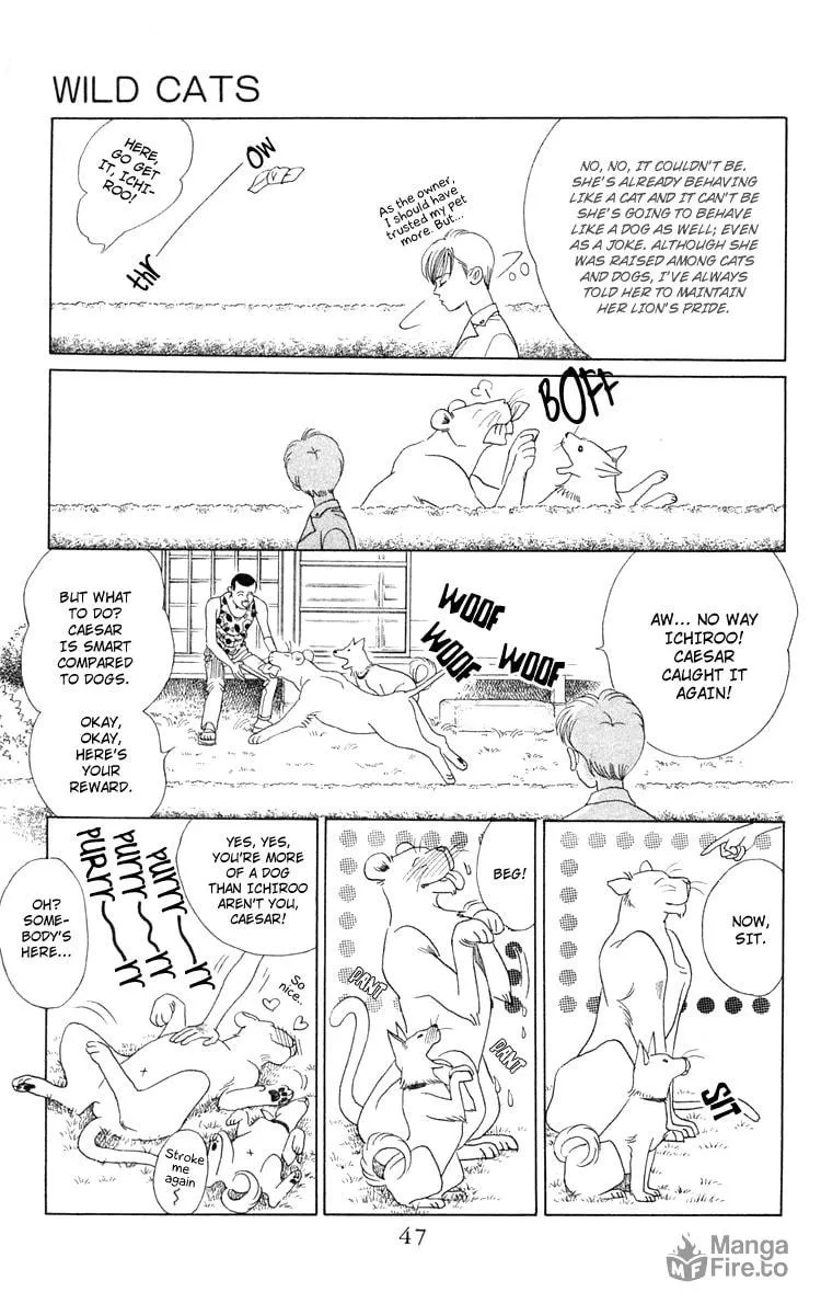 Read Wild Cats chapter 1 image 44 on Lezhin