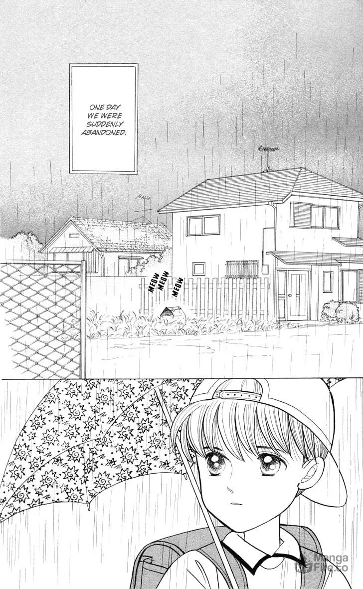 Read Wild Cats chapter 1 image 5 on Lezhin