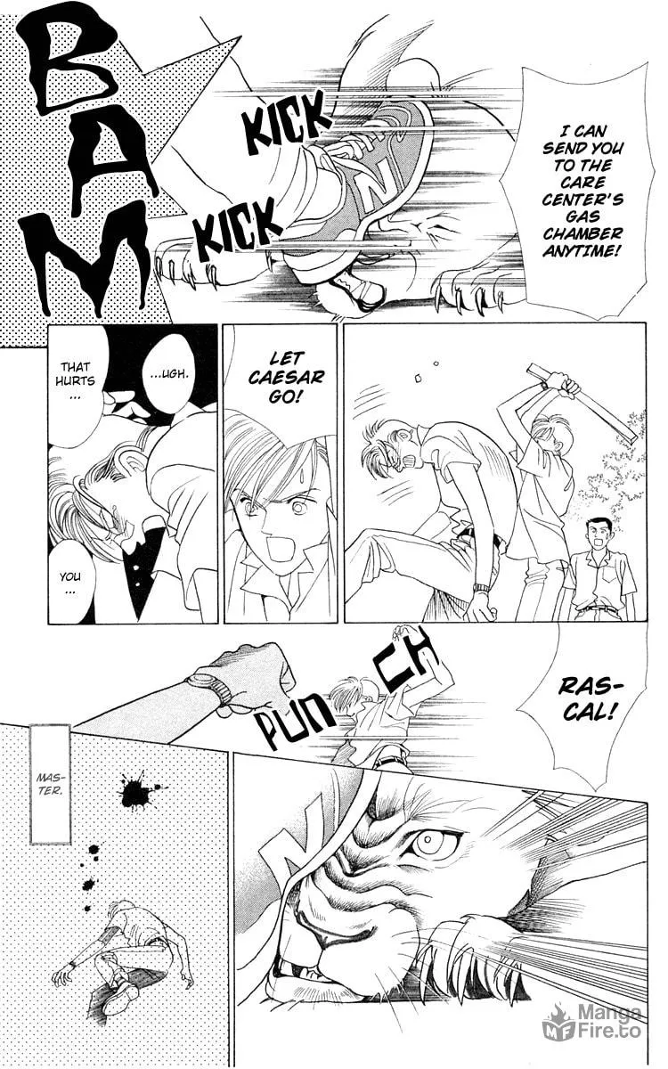 Read Wild Cats chapter 1 image 56 on Lezhin