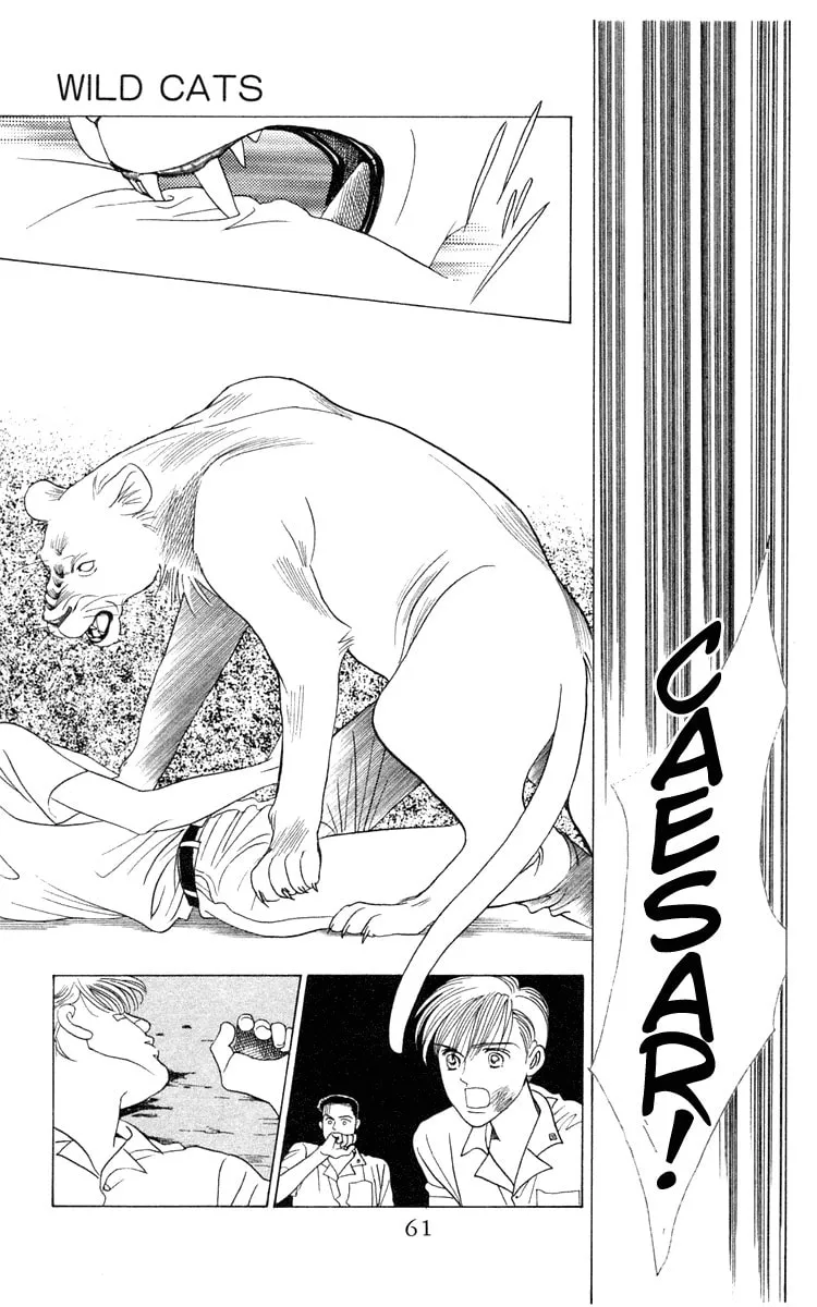 Read Wild Cats chapter 1 image 58 on Lezhin