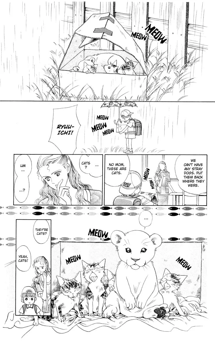 Read Wild Cats chapter 1 image 6 on Lezhin