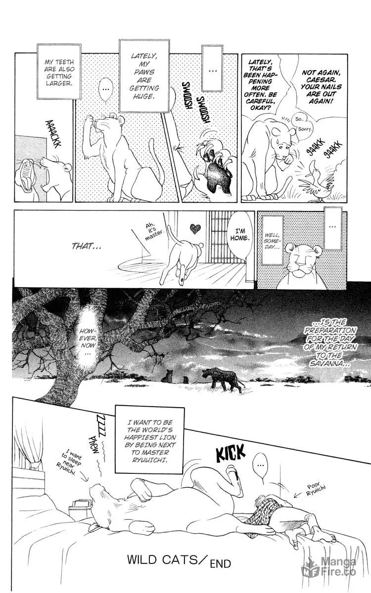 Read Wild Cats chapter 1 image 69 on Lezhin