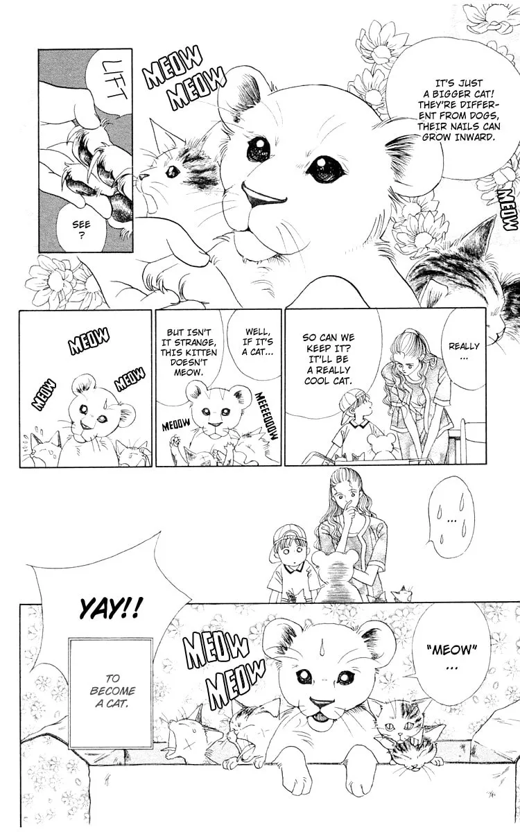 Read Wild Cats chapter 1 image 7 on Lezhin