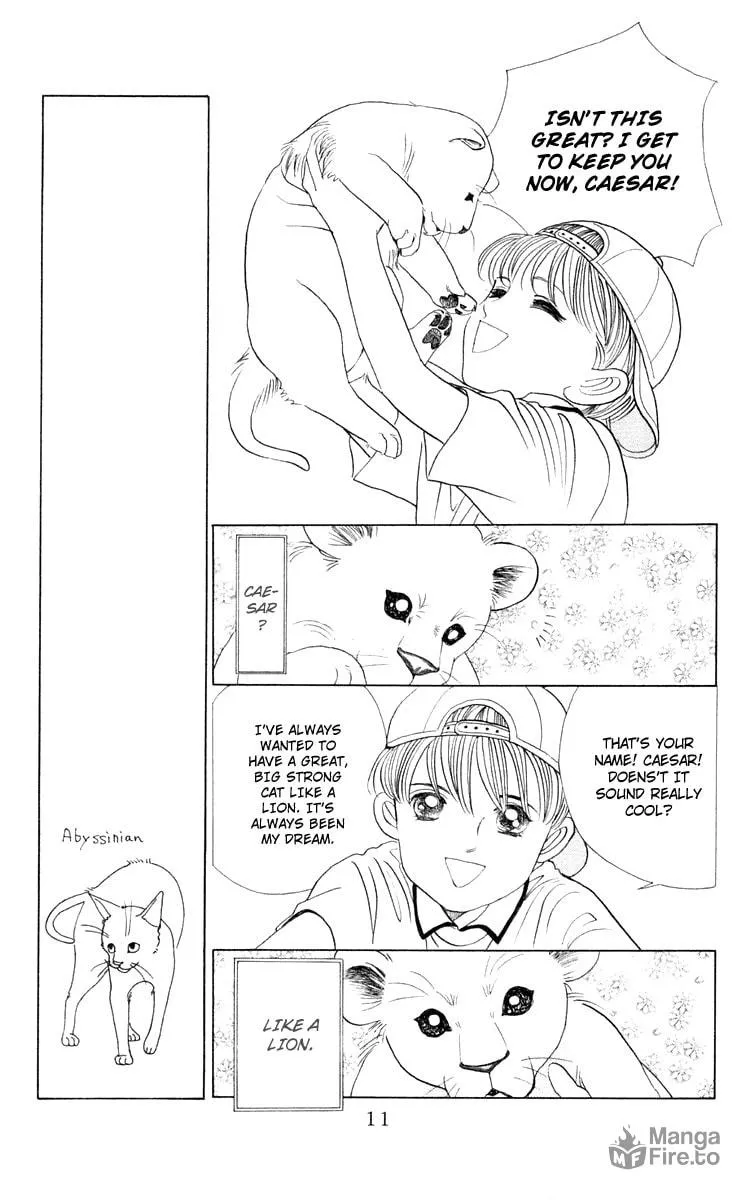 Read Wild Cats chapter 1 image 8 on Lezhin