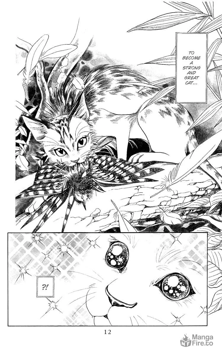 Read Wild Cats chapter 1 image 9 on Lezhin