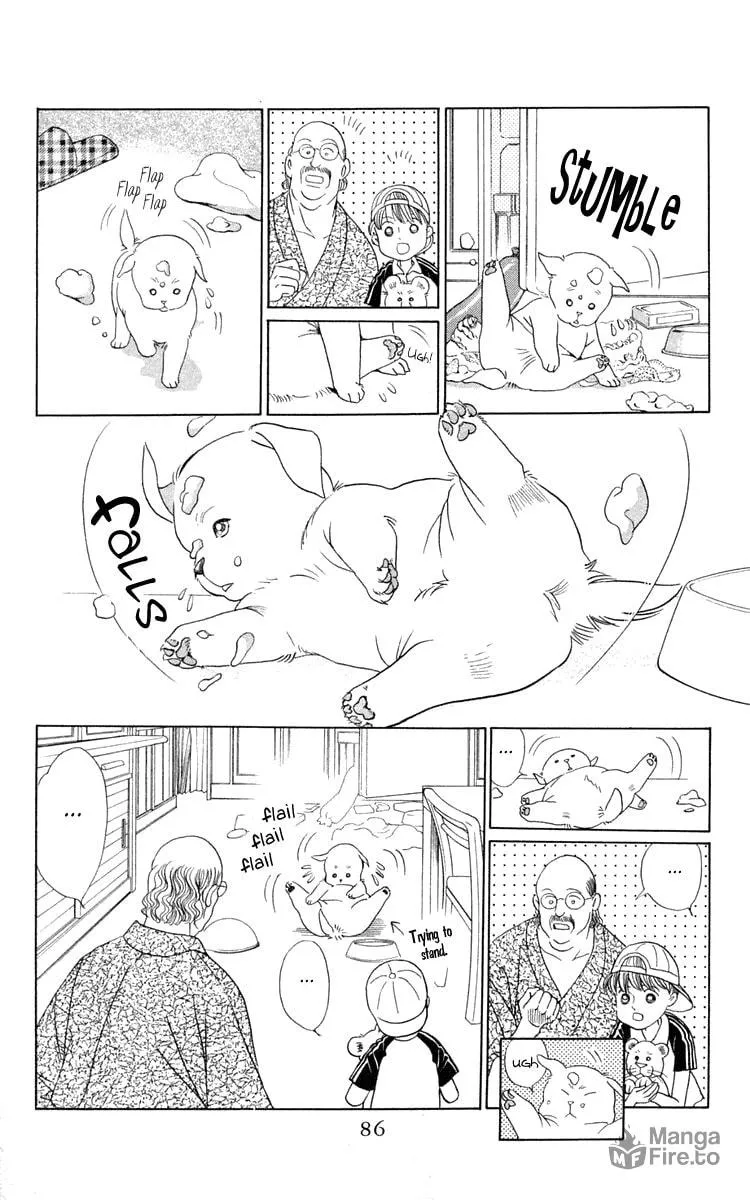 Read Wild Cats chapter 2 image 11 on Lezhin