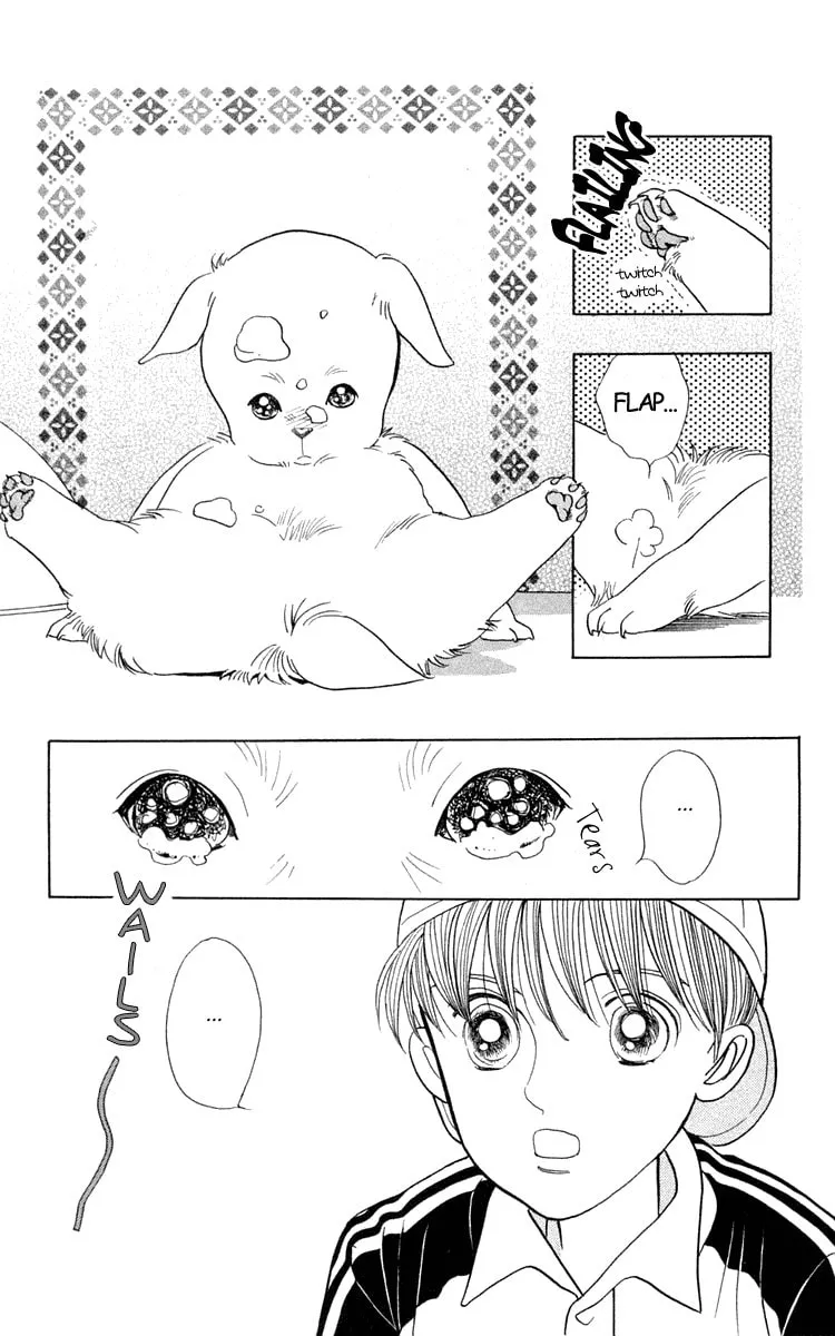 Read Wild Cats chapter 2 image 12 on Lezhin