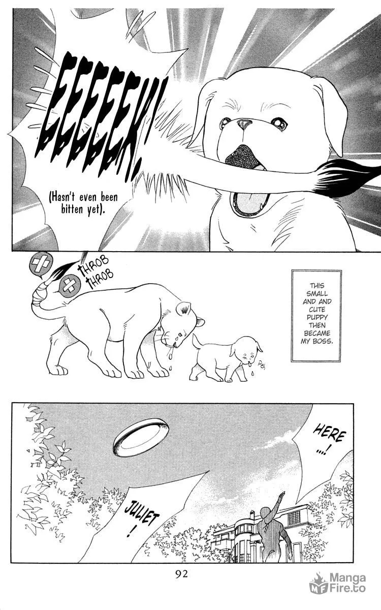 Read Wild Cats chapter 2 image 17 on Lezhin
