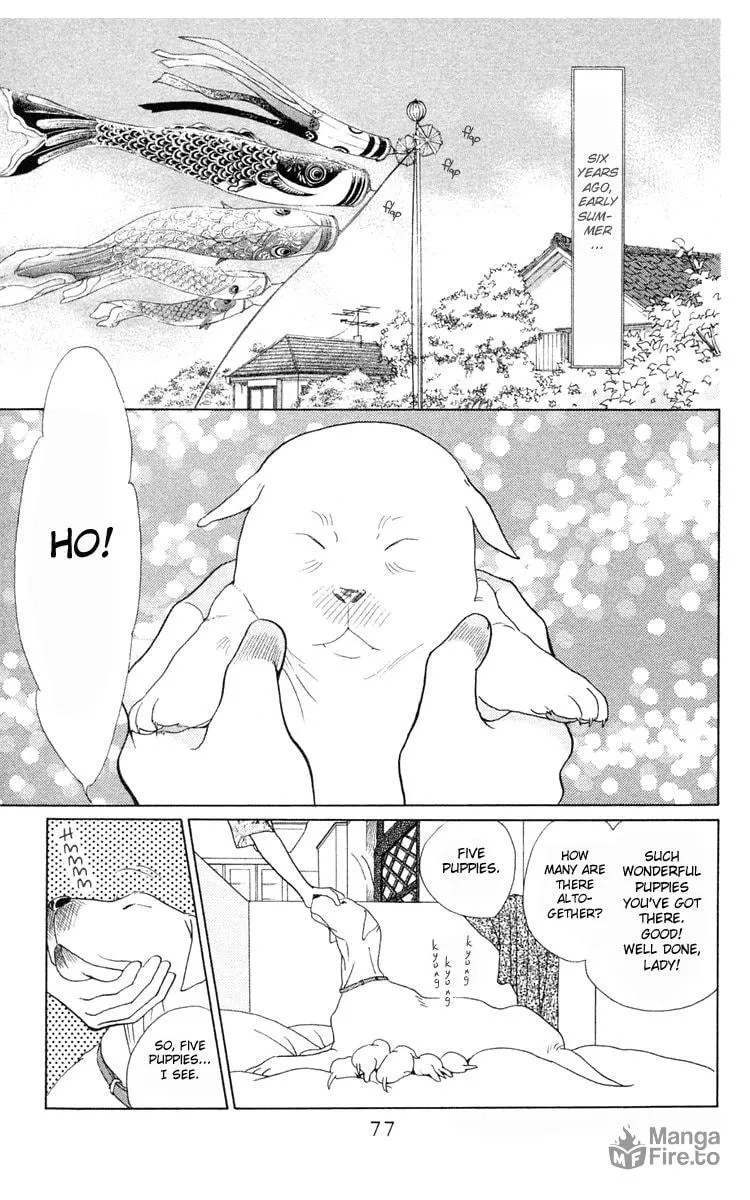 Read Wild Cats chapter 2 image 2 on Lezhin