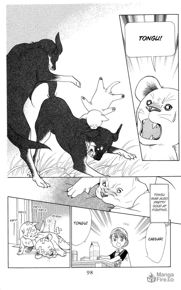 Read Wild Cats chapter 2 image 23 on Lezhin
