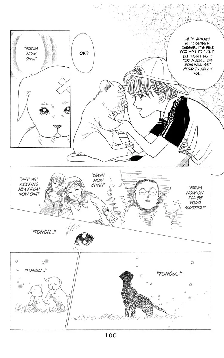 Read Wild Cats chapter 2 image 25 on Lezhin