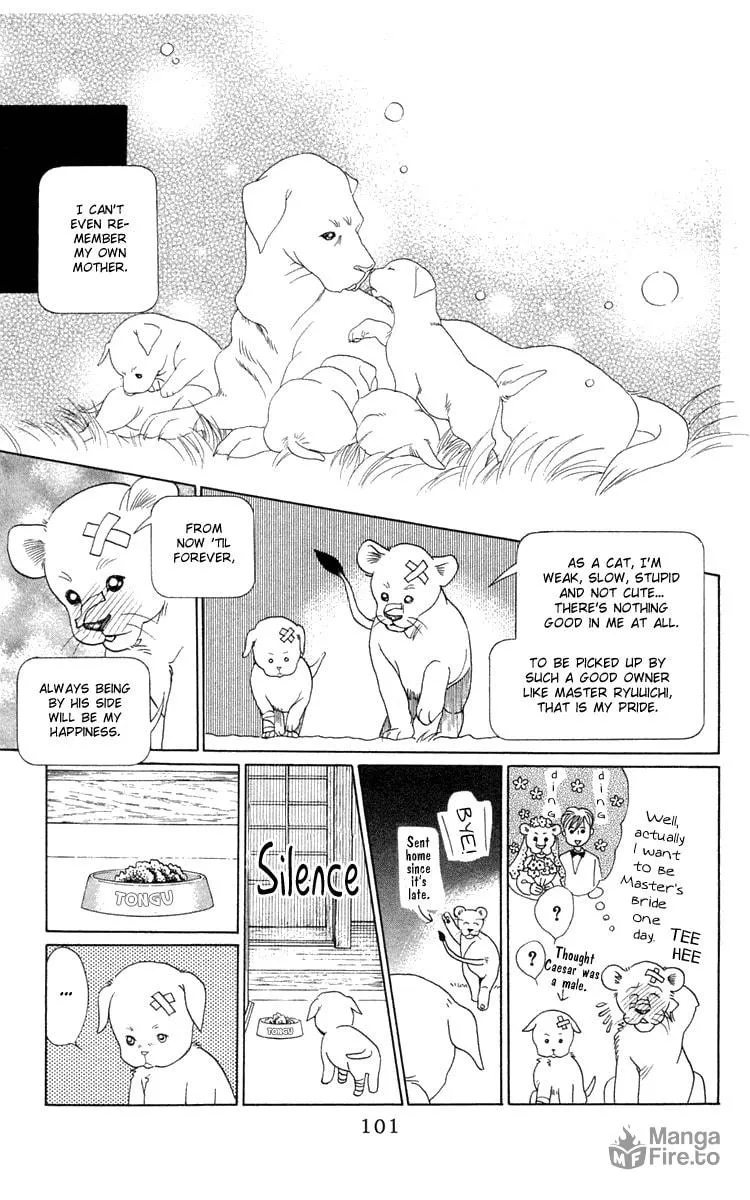 Read Wild Cats chapter 2 image 26 on Lezhin