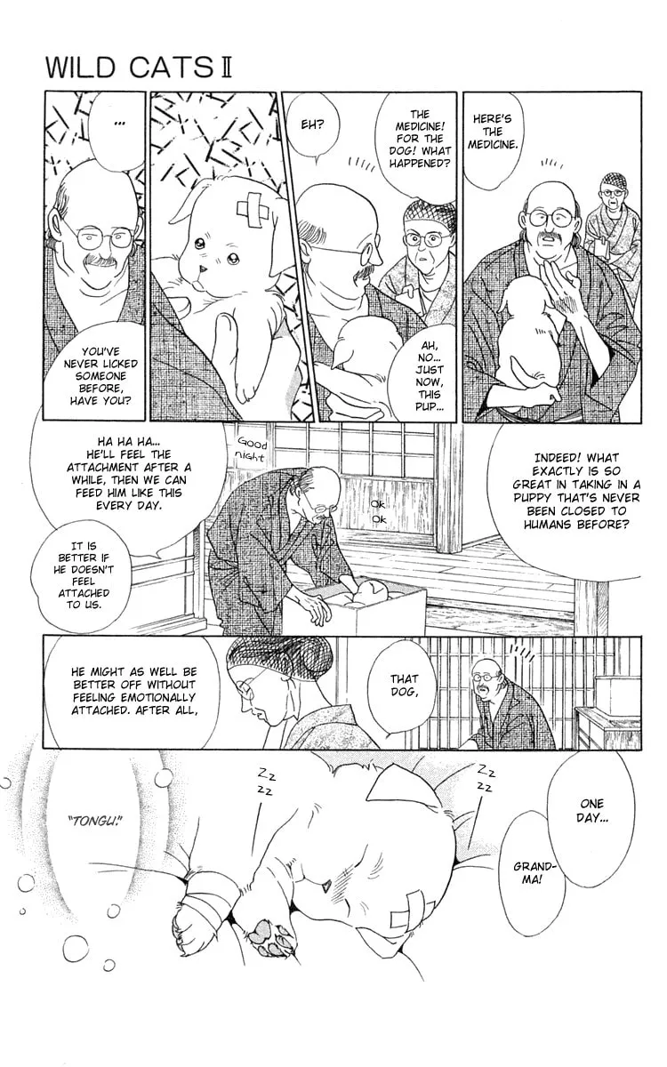 Read Wild Cats chapter 2 image 28 on Lezhin