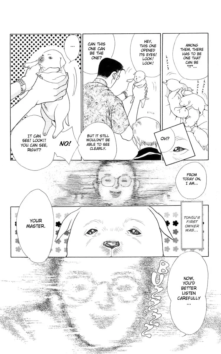 Read Wild Cats chapter 2 image 3 on Lezhin